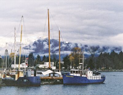 A Colorful boats docked by the shore.