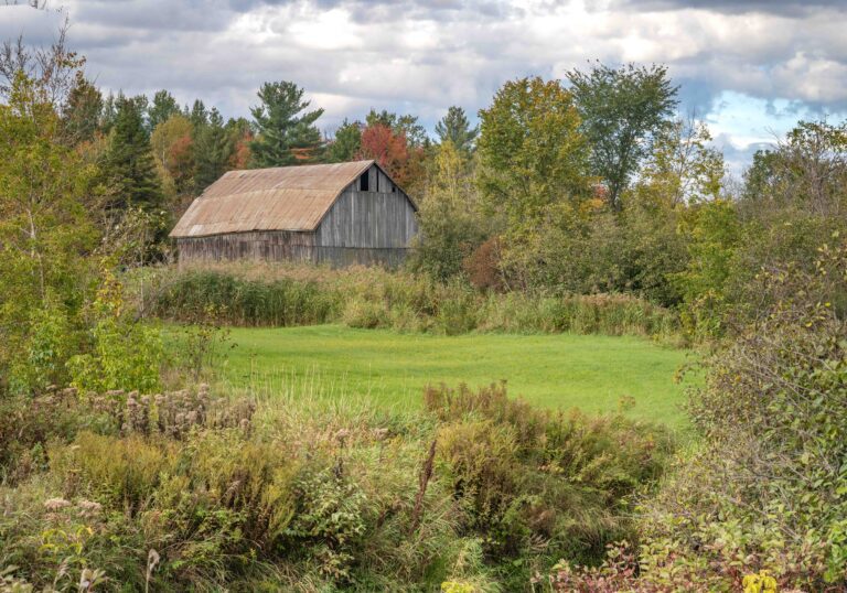 Barns In The Landscape