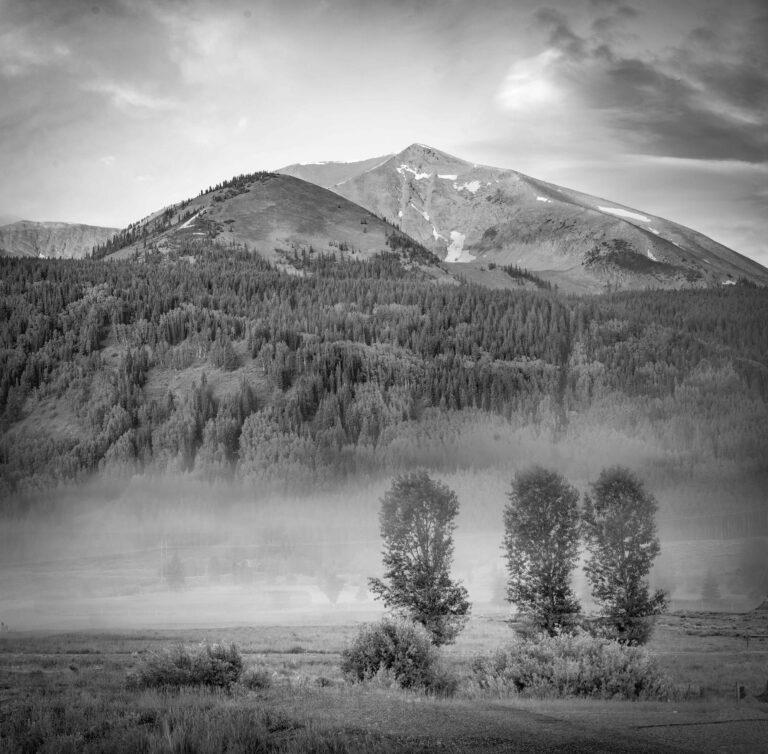 Landscapes in Monochrome
